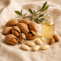 SWEET ALMOND OIL — Softens and conditions skin | Zarnier Silk Body Oil ingredient