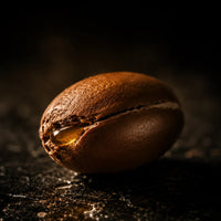 Argan Oil — Boosts elasticity and leaves skin with a natural, healthy-looking glow | Zarnier Silk Body Oil