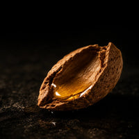 Sweet Almond Oil — Deeply softens and conditions skin with a silky, fast-absorbing finish that leaves zero residue | Zarnier Silk Body Oil